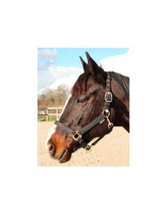 Cabezada de Cuadra Canter Malibu