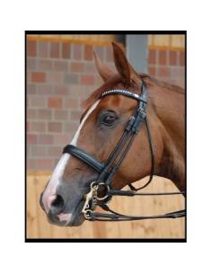 Cabezada Doble Dyon Dressage Bit Recess