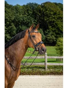 Cabezada Simple Dyon Dressage Bit Recess Medium 2