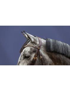 Frontalera Dyon en Forma de V con Swarovski 2