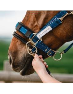 Stübben LK Headcollar Controller 2
