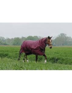 Manta de Exterior Equithème Tyrex 200gr Combo