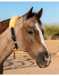 Collar Anti Aire Schutz Brothers 2