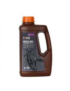 Foran Muscle Max Muscle Growth Supplement 2