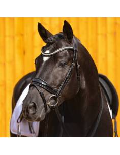 Passier Starlight Anatomical Bridle 2