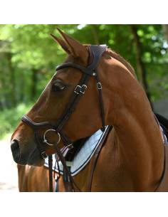 Antarès Précision Anatomical Snaffle Bridle 2