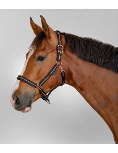 Cabezada de Cuadra Waldhausen Rosé 2