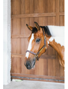 Kentucky Wellington Leather Halter 2