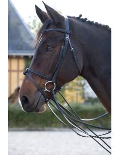 Passier Plain Bridle with Web Reins