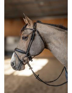 HFI Tubular Round Snaffle Bridle 2