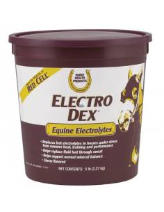 Electro Dex Powder Electrolytes 2