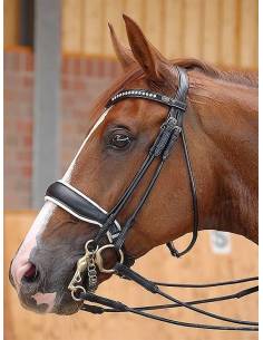 Dyon Dressage Bit Recess Double Bridle Matte White
