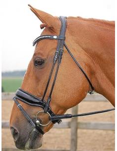 Cabezada Simple Dyon Dressage Bit Recess Charol Negro