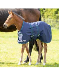 Shires Tempest Original 200g Foal Turnout Rug
