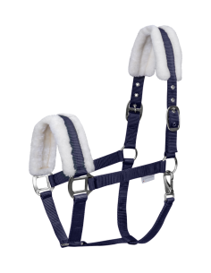 Cabezada de Cuadra con Borrego Waldhausen First
