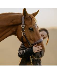 Dyon Leather Stable Halter 2