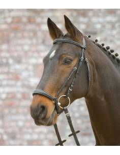 Simple Star Hannover Bridle with German Noseband with Reins