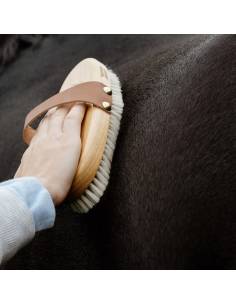 Kentucky Grooming Deluxe Soft Shine Brush 2
