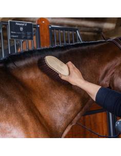 Kentucky Grooming Deluxe Long Soft Brush 2