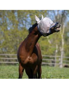 Kingsland Lando Fly Mask 2