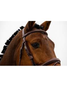 Blinkers Trust 2