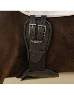 Passier Sensitive Dressage Girth 2