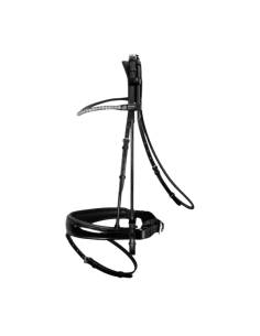 Passier Harmony Snaffle Bridle