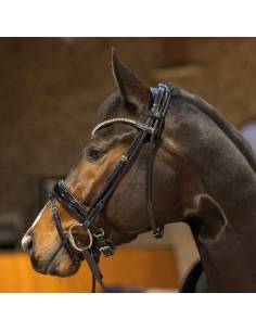 Passier Harmony Snaffle Bridle 2