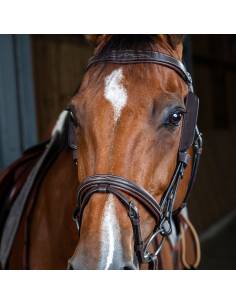 Blinkers Dyon 2