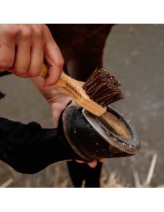 Kentucky Deluxe Wooden Hoof Pick 2