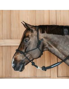 Dy’on Knotted Rope Training Halter 2