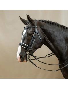 Cabezada Doble Dyon Charol Dressage Working Collection 2