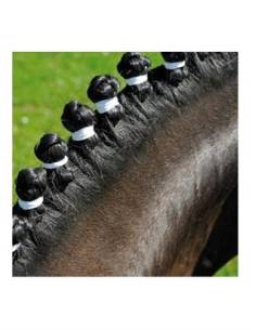 WIDE MANE GUMS HIPPO-TONIC (500 UNITS)
