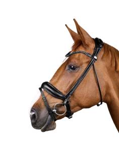 Dyon Working Collection Comfohead Simple Bridle 2