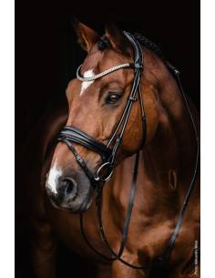 Schockemöhle Isabell Werth Satchmo Single Bridle 2