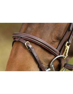 HFI Functional Simple Bridle 2