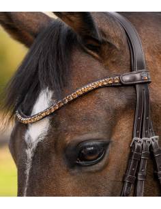 Waldhausen X-Line Shine Brown Browband 2
