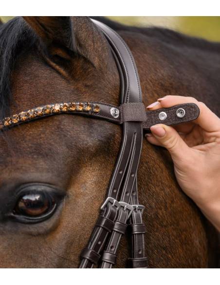 Waldhausen X-Line Shine Brown Browband