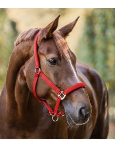 Waldhausen Satin Stable Halter 2