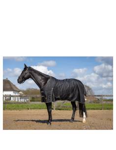 BR Classic 0g Turnout Rug 2