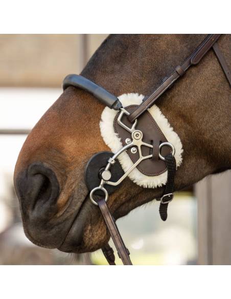 Protector Dyon para Hackamore de Borrego