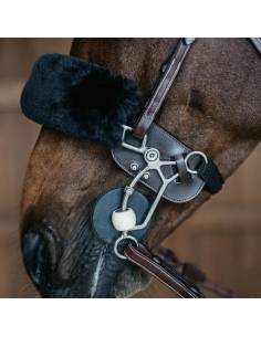 Dyon Leather Hackamore Protector 2