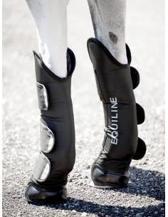 Protectores de Transporte Equiline Rex 2