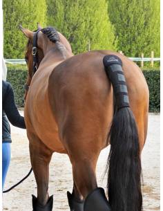 Protector de Cola Equiline Noll 2