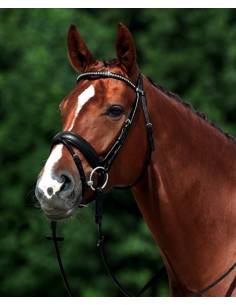 Simple Bridle Passier Neptune
