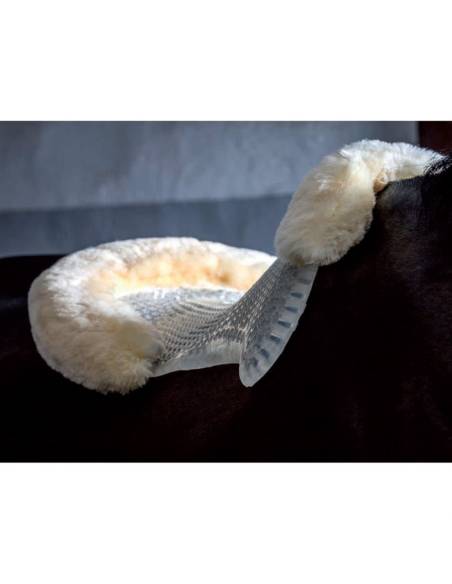Salvadorso de Gel Acavallo con Borrego