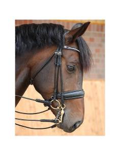 Cabezada Doble Dyon Dressage Bit Recess Negro Mate