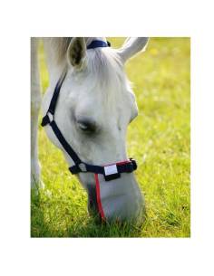 Solar Protector for the Special Field Relief