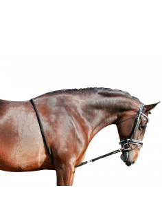 QHP Cotton Lunging Rope System 2