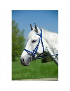 RAID BRIDLE NORTON SYNTHETIC